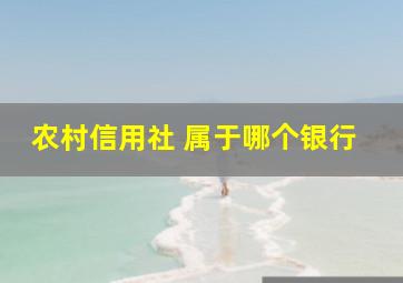 农村信用社 属于哪个银行